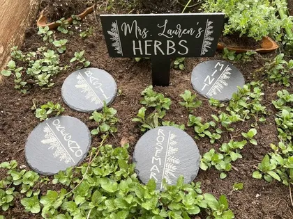 Plaque en ardoise noire avec le texte 'Mrs. Lauren's HERBS' placée au centre d'un jardin d'herbes aromatiques entouré de plantes vertes. Quatre galets gris avec des noms d'herbes écrits en blanc, comme 'BASILIC', 'MENTHE', 'ROZEMAIRE' et 'OREGANO', delineent le jardin.