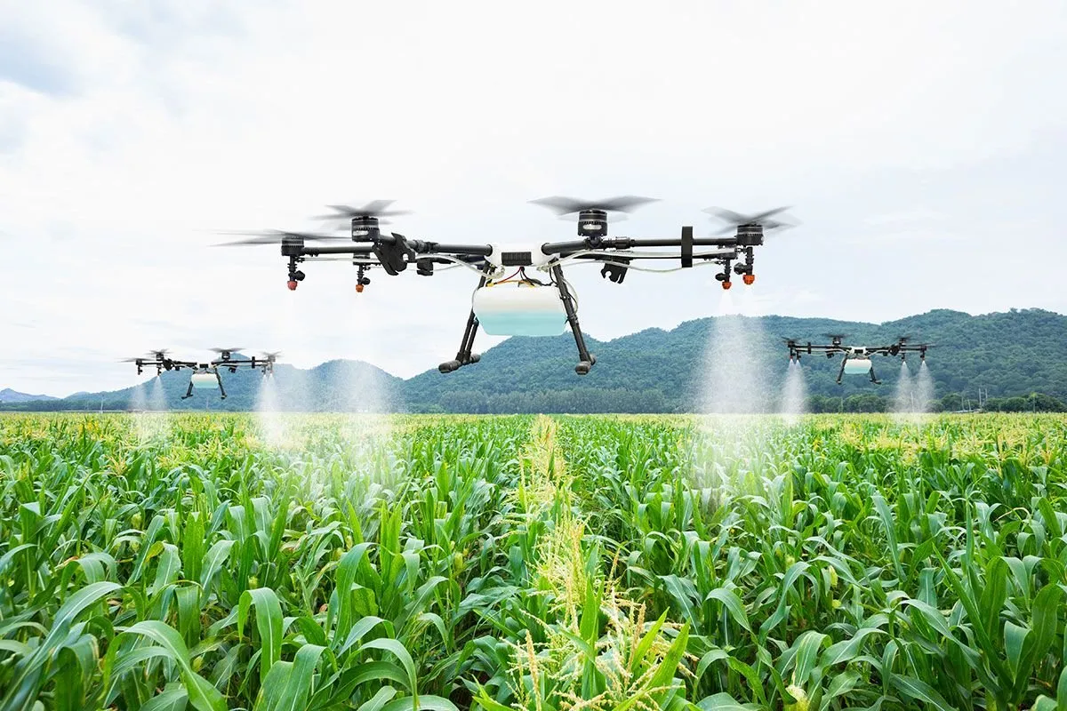 3 drones dans une zone d'agriculture