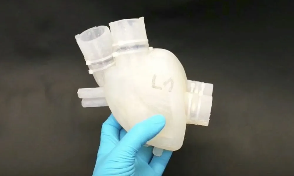 COEUR IMPRESSION 3D