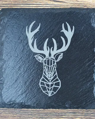 Dessus d'une planche en pierre noire avec un dessin géométrique d'un cerf à bois blanc.