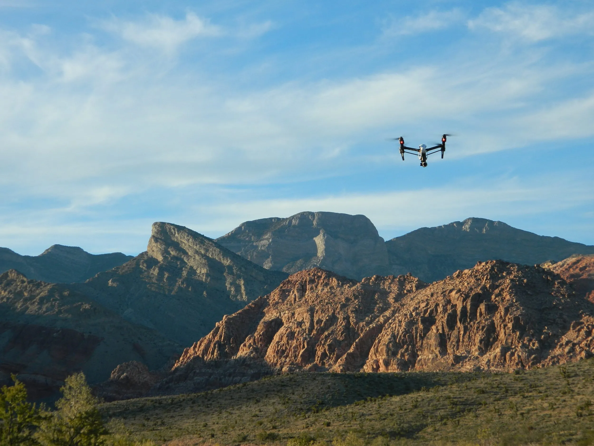 Drone