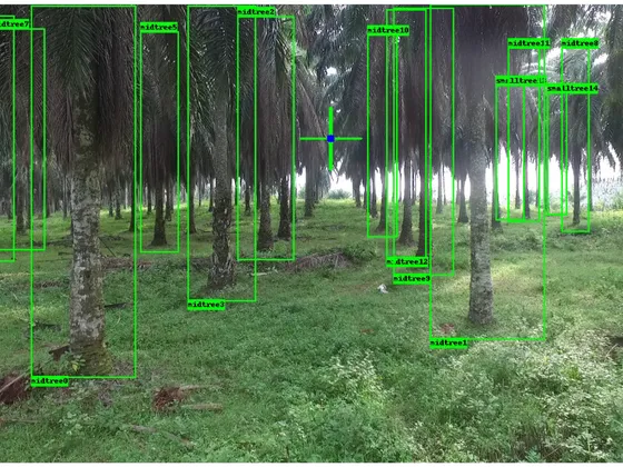 Une forêt de palmiers avec plusieurs arbres marqués et étiquetés avec des boîtes et des noms comme 'midtree0', 'midtree1', etc., en vert, sur une image naturelle