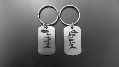 Deux porte-clés en métal avec des gravures d'arbres stylisés sur des plaques rectangulaires, l'un étant droit et l'autre penché, sur un fond gris.