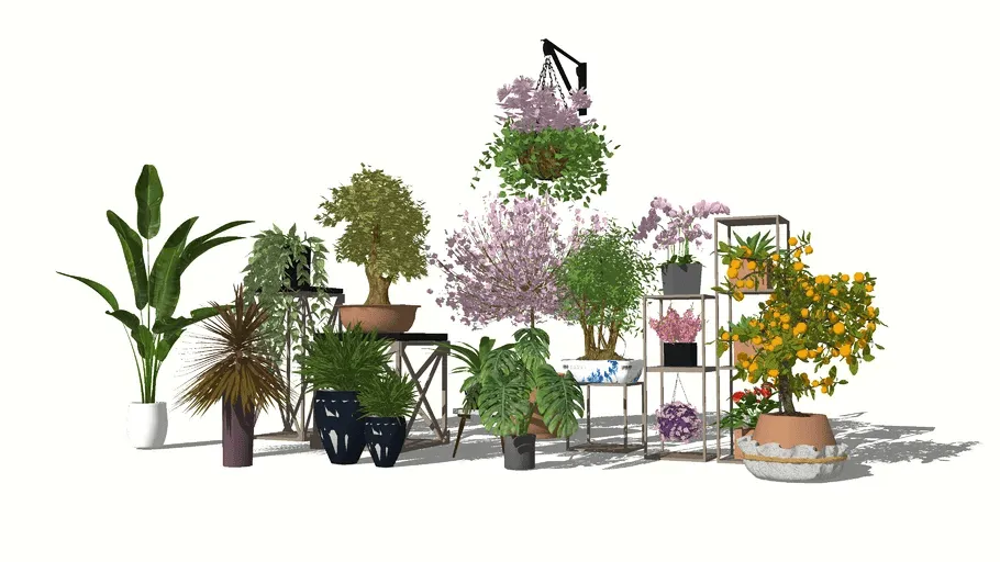 Plantes sur SketchUp
