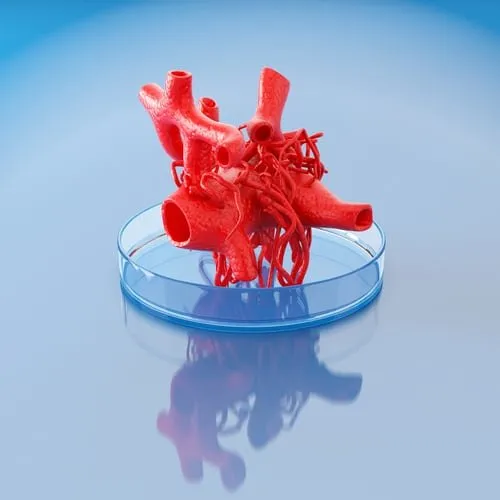 bio impression 3D d'artères du coeur