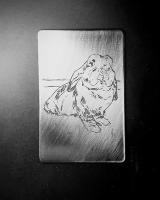 Dessins d'un chien de race Basset Hound gravé sur une plaque en métal.