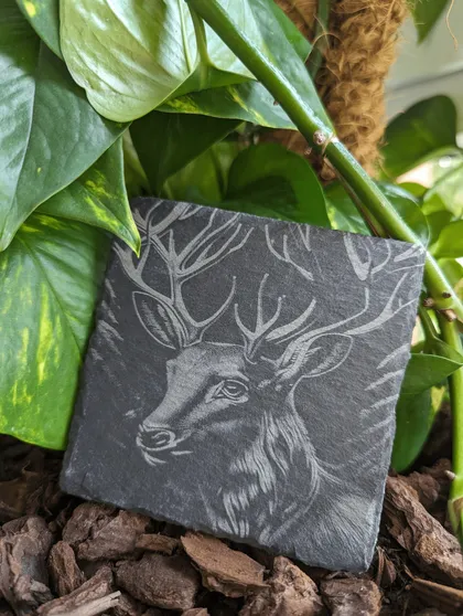 Une plaque en pierre noire gravée d'un cerf, posée parmi des feuilles vertes et du bois broyé.