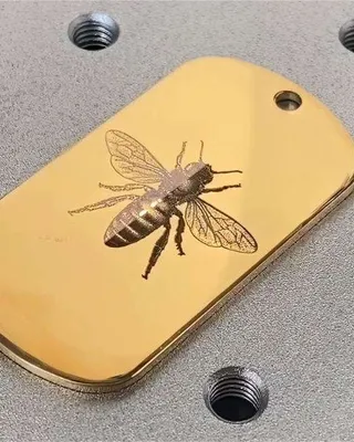 Une plaque métallique dorée avec une image d'une abeille gravée, posée sur une surface grise avec plusieurs trous filetés noirs.