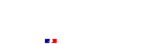 Drapeau de la France avec petit drapeau français en bas.