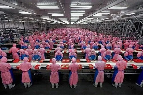 production de masse en usine