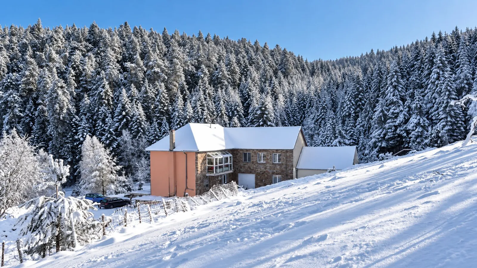 Ferme du Schneeberg à Wangenbourg-Engenthal